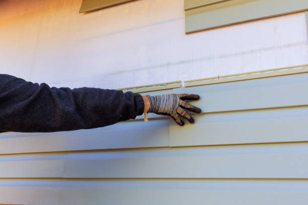  , USA Siding Installation & Repair Pros